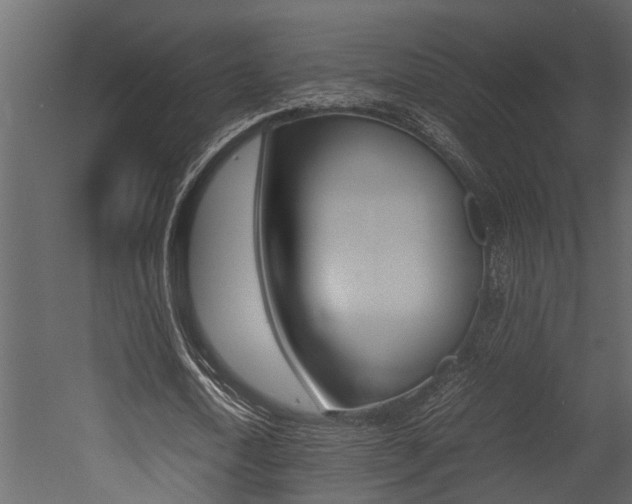 X0000052970722200507080921