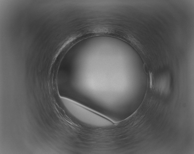 X0000052970723200507080921