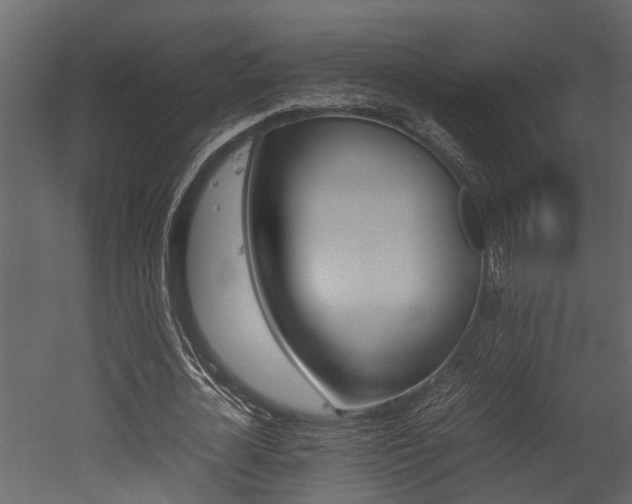 X0000052970724200507080921