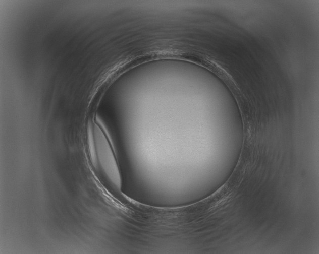 X0000052970725200507080921