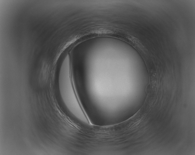 X0000052970727200507080921