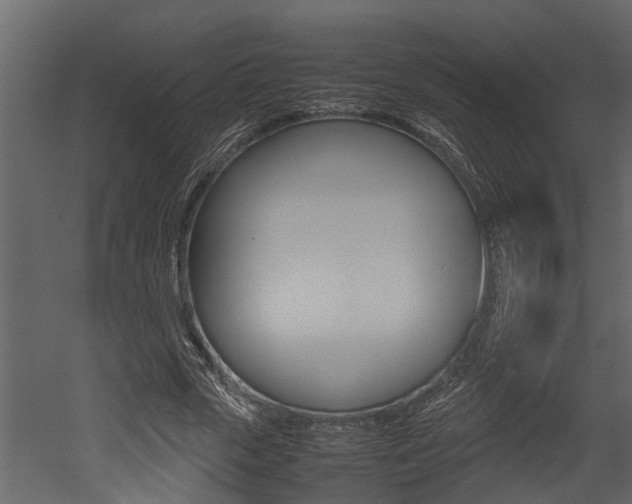 X0000052970729200507080921