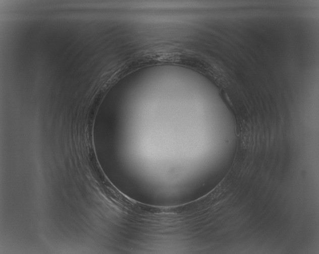 X0000052970748200507080921