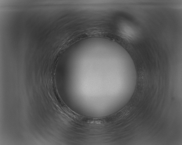 X0000052970751200507080921