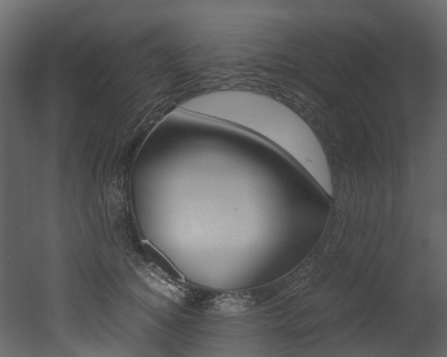 X0000052970756200507080921
