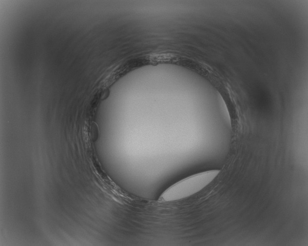 X0000052970761200507080922