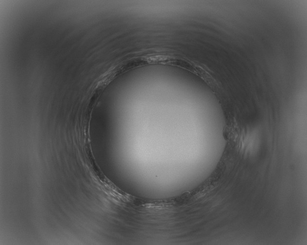 X0000052970763200507080922
