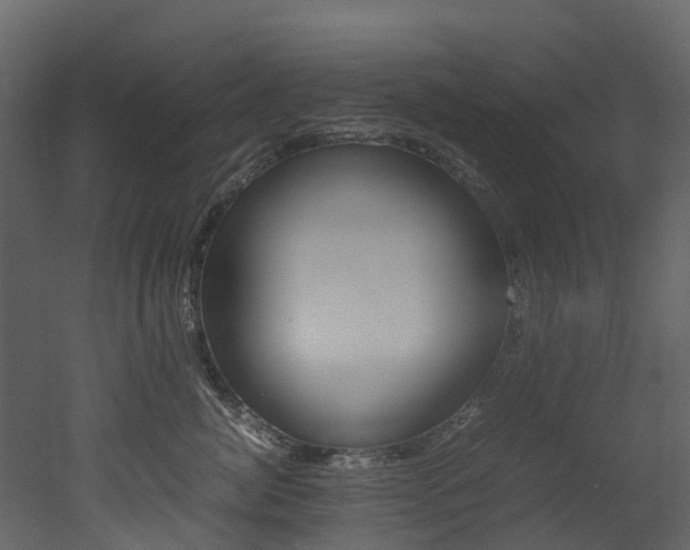 X0000052970764200507080922