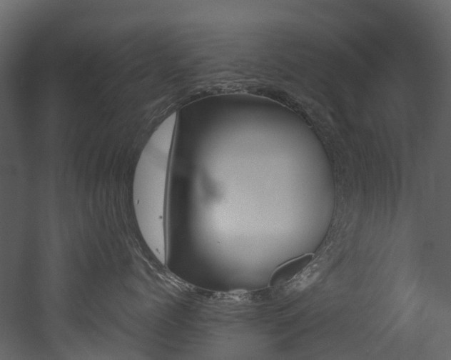 X0000052970768200507080922
