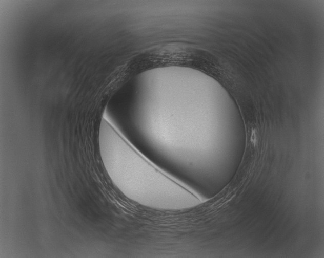 X0000052970771200507080921