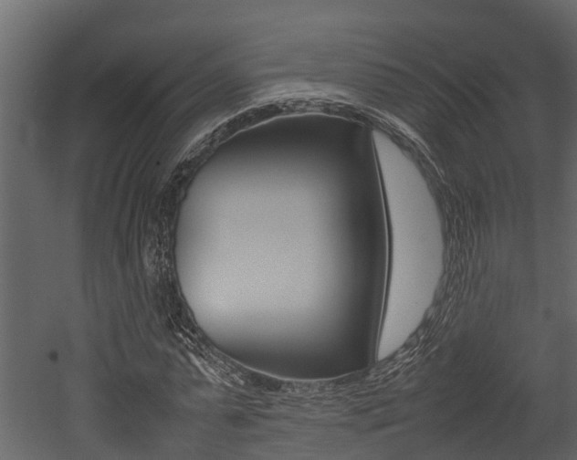 X0000052970775200507080921
