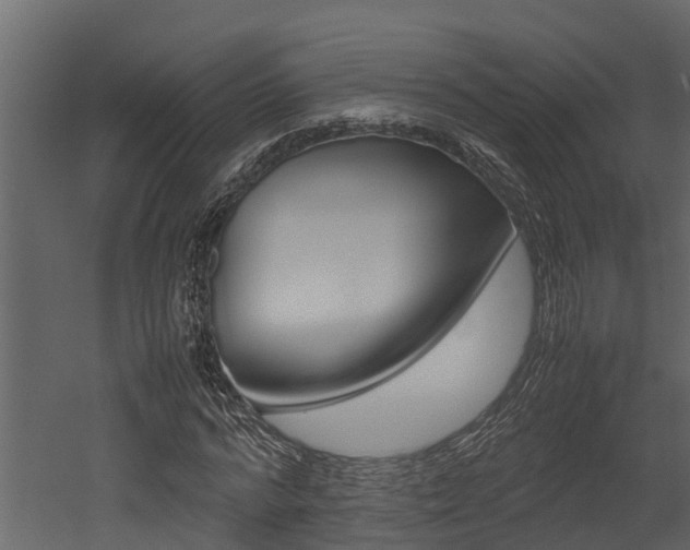 X0000052970776200507080921
