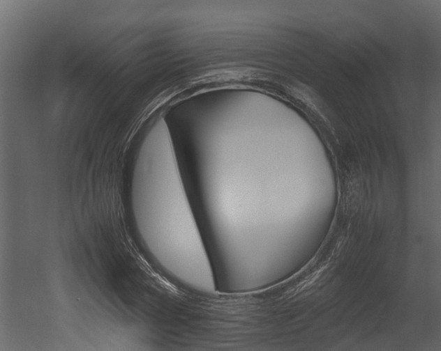 X0000052970778200507080921