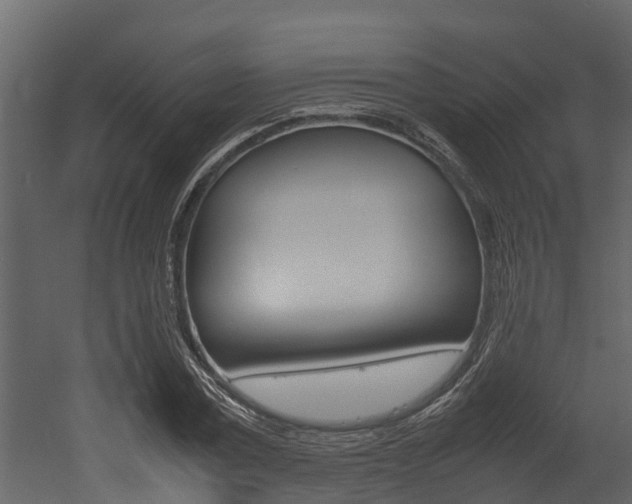 X0000052970779200507080921