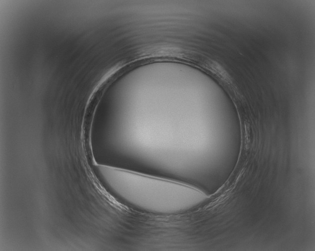 X0000052970780200507080921