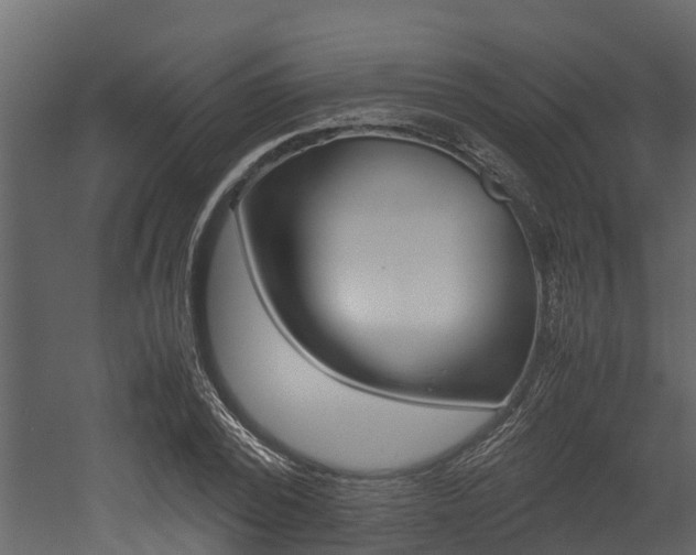 X0000052970784200507080921