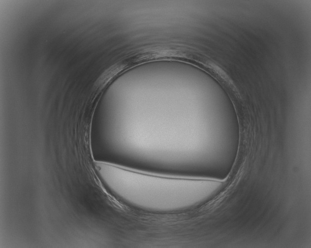X0000052970793200507080920