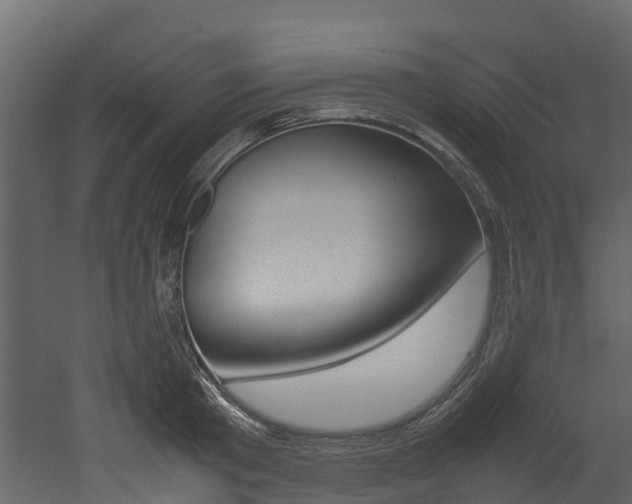 X0000052970801200507080920