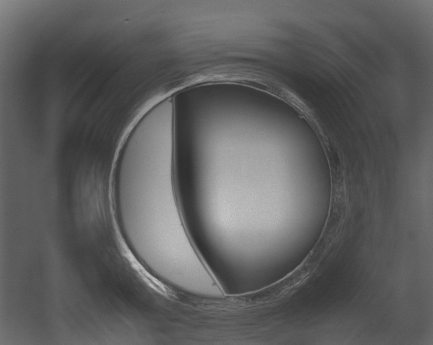 X0000052970803200507080920