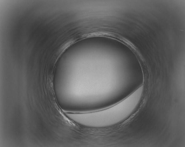 X0000052970809200507080920