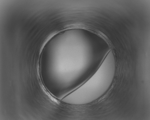 X0000052970812200507080920