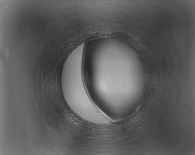 X0000052970818200507080919