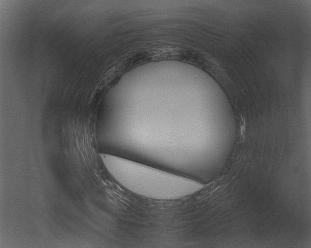 X0000052970819200507080919