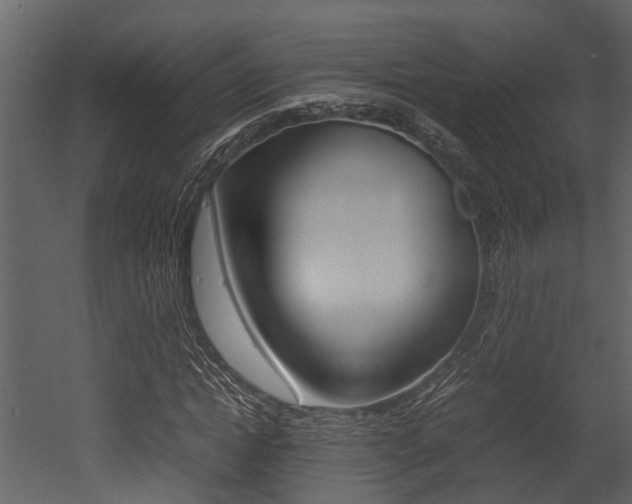 X0000052970822200507080919