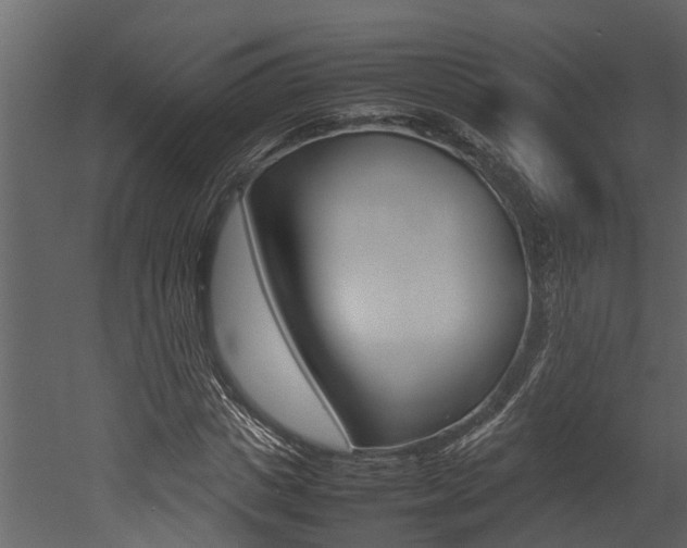 X0000052970825200507080919