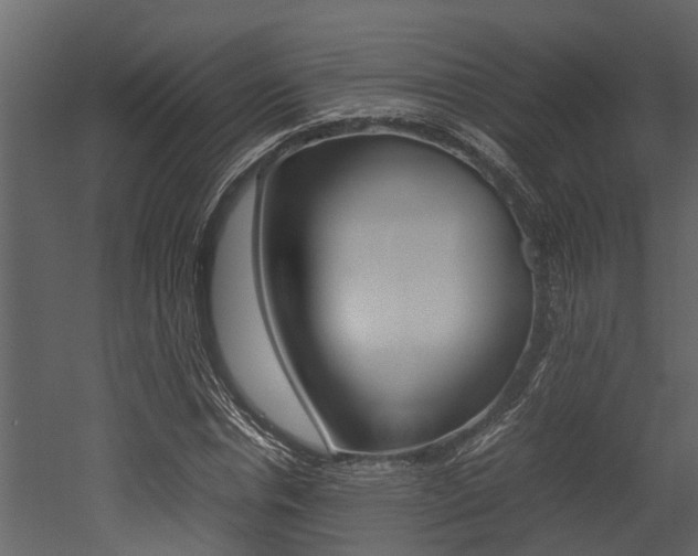 X0000052970826200507080919