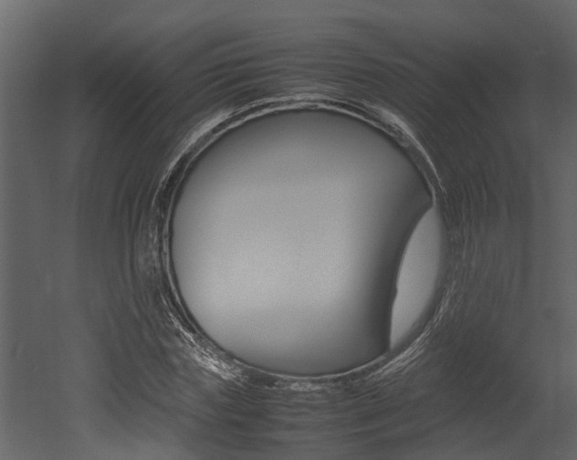 X0000052970827200507080919