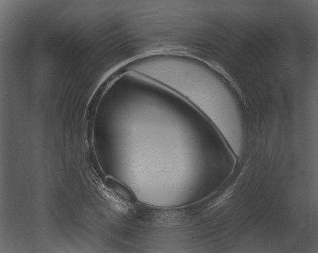 X0000052970830200507080919