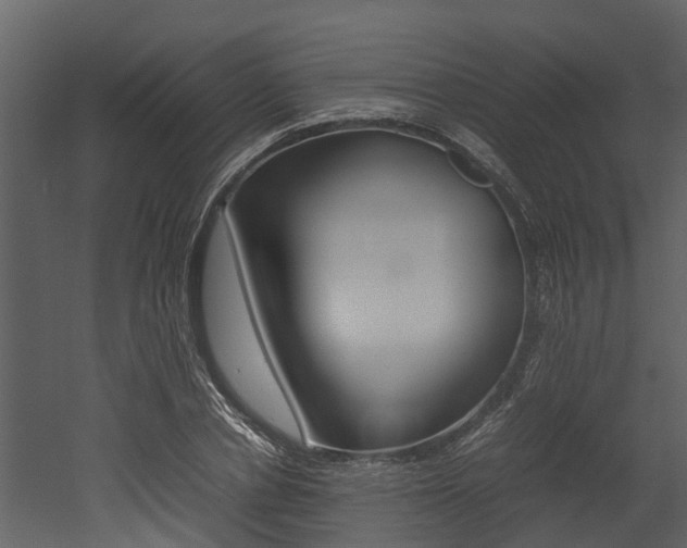 X0000052970834200507080920