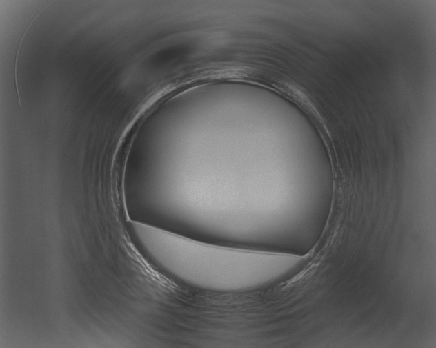 X0000052970835200507080920