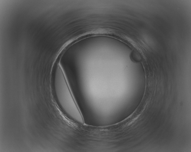 X0000052970837200507080920
