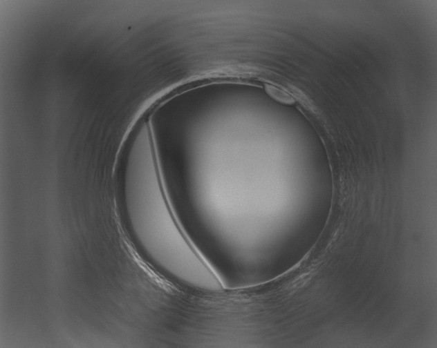 X0000052970838200507080920