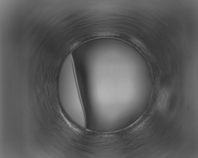 X0000052970841200507080920
