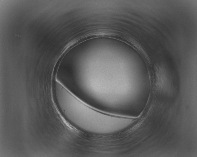 X0000052970845200507080920
