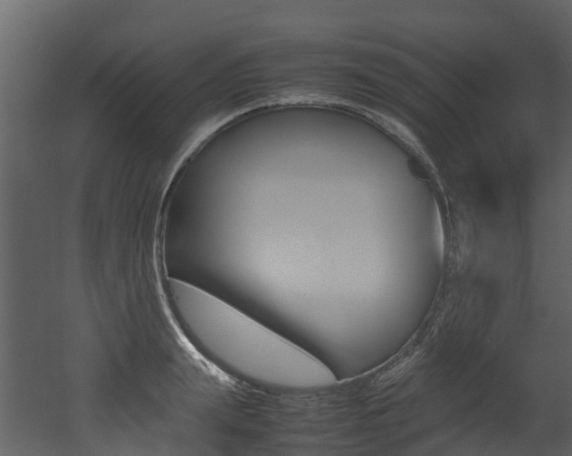 X0000052970847200507080920