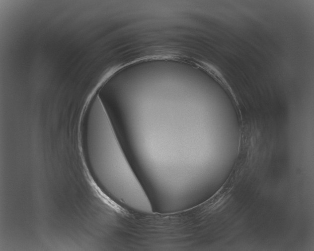 X0000052970851200507080920