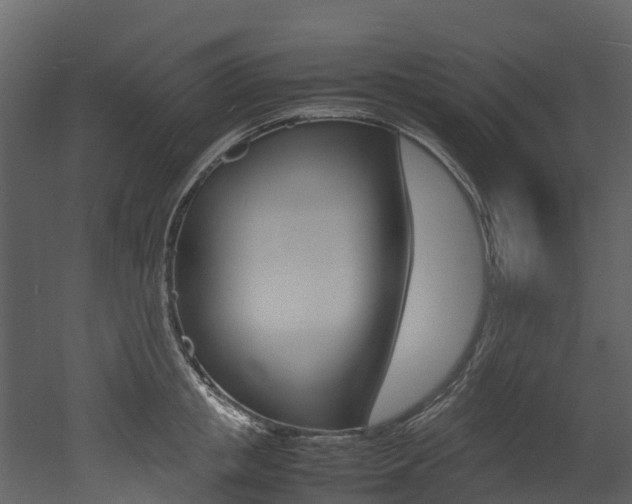 X0000052970853200507080920