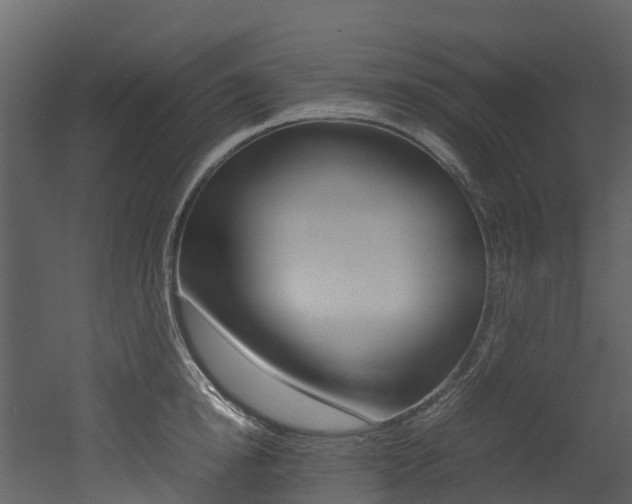 X0000052970854200507080920