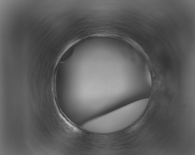 X0000052970855200507080920