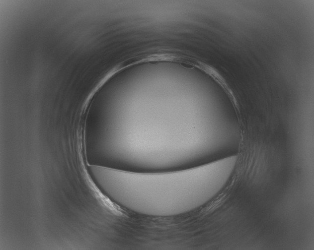 X0000052970859200507080920