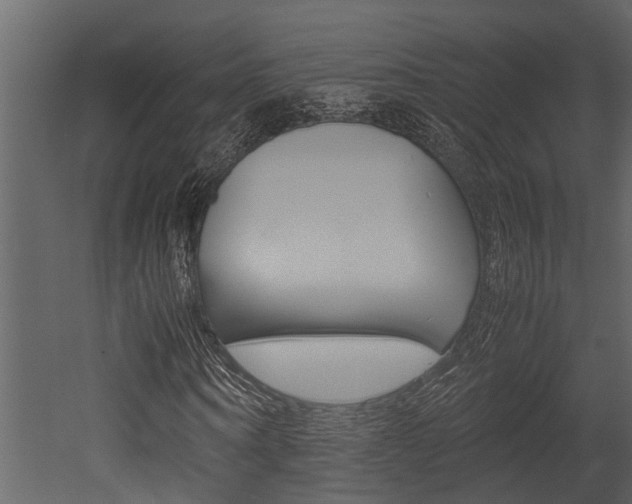 X0000052970866200507080919