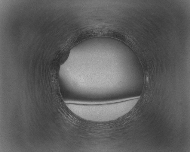 X0000052970867200507080919