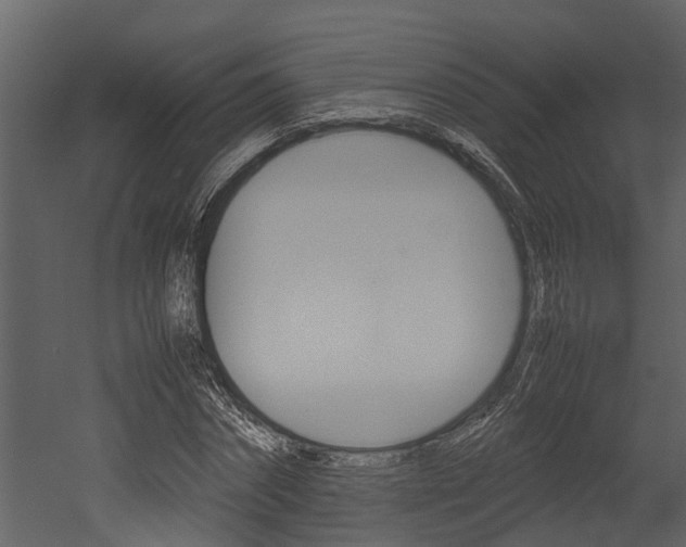 X0000052970874200507080919