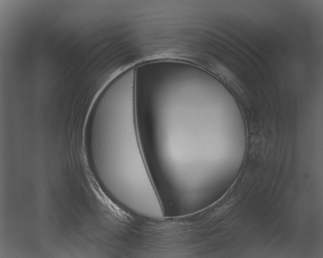 X0000052970892200507080919