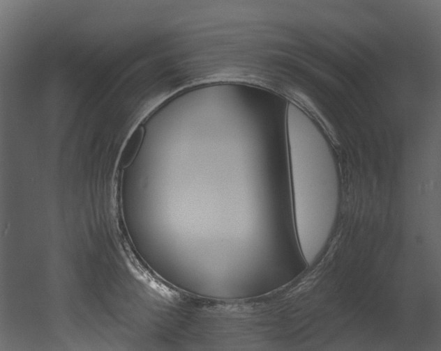 X0000052970900200507080919