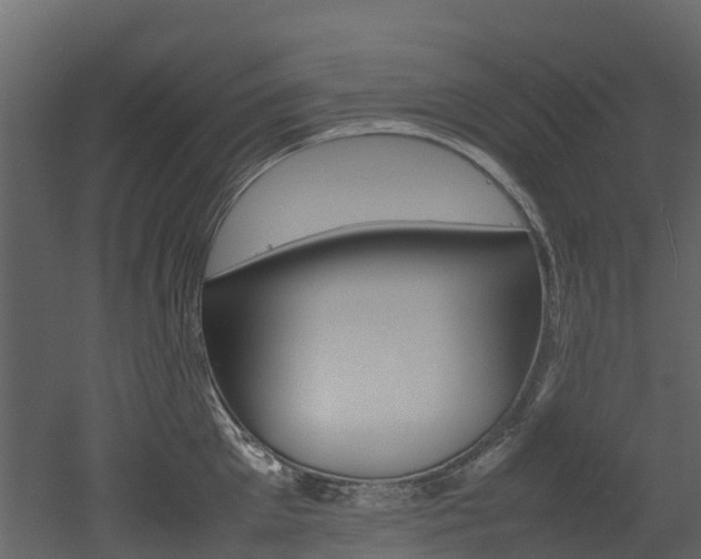 X0000052970905200507080919